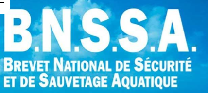 Illustration du service BNSSA