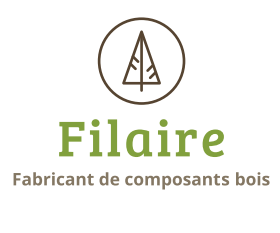 Logo Filaire