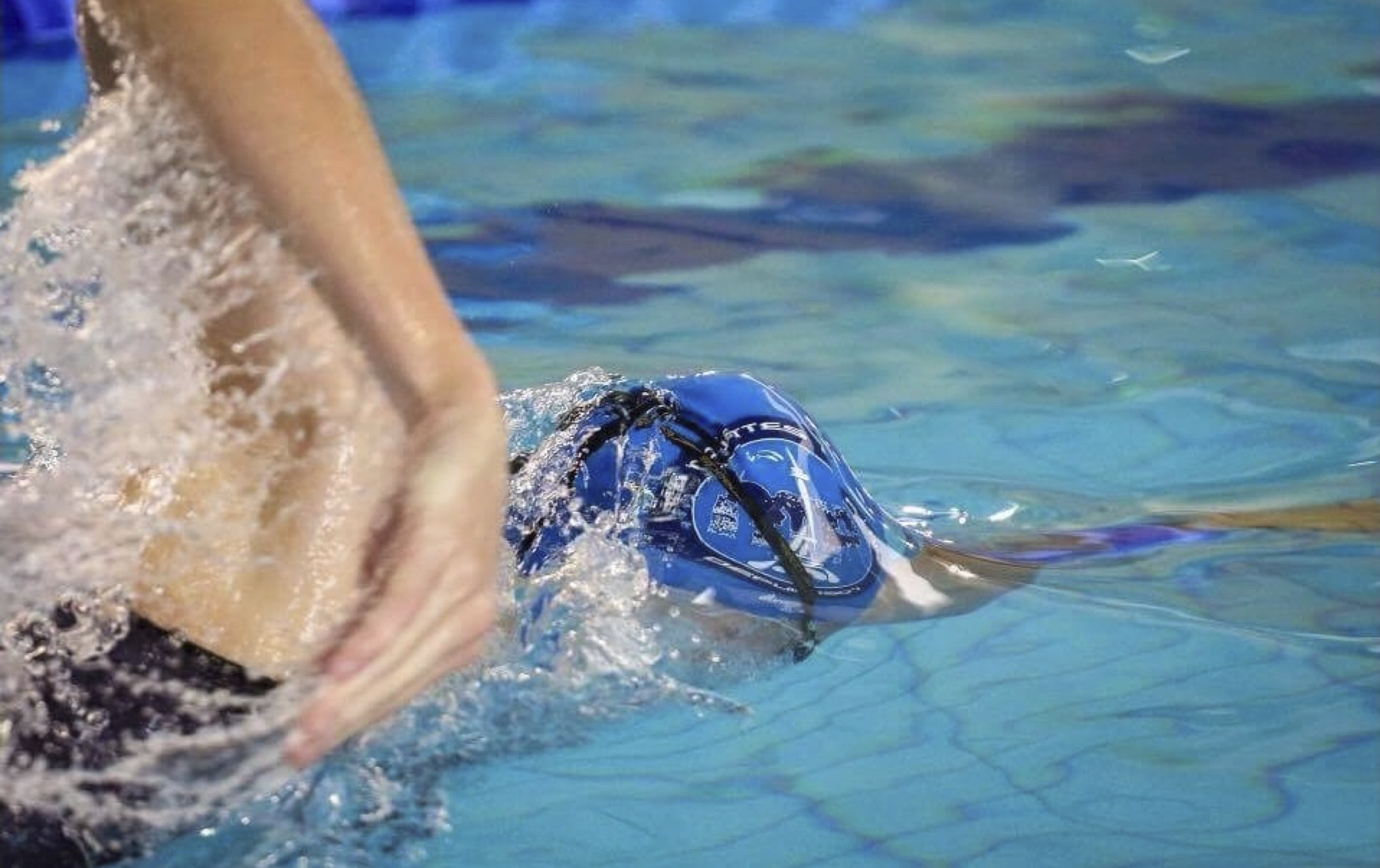 Illustration du service Natation Course - Compétitions