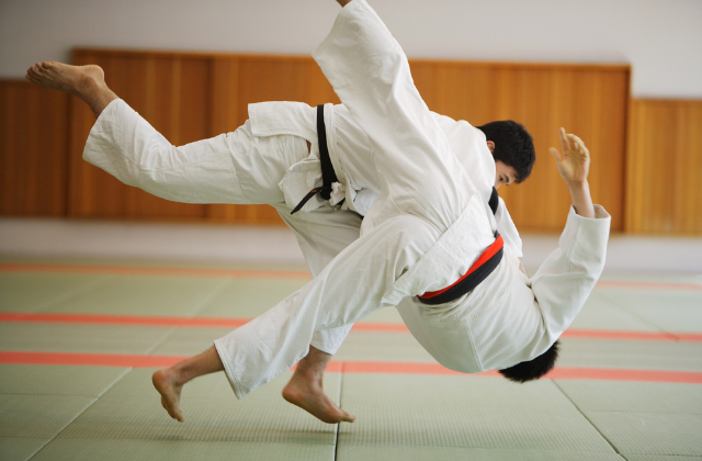 Illustration du service Judo