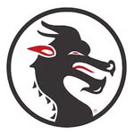 Logo Budofight