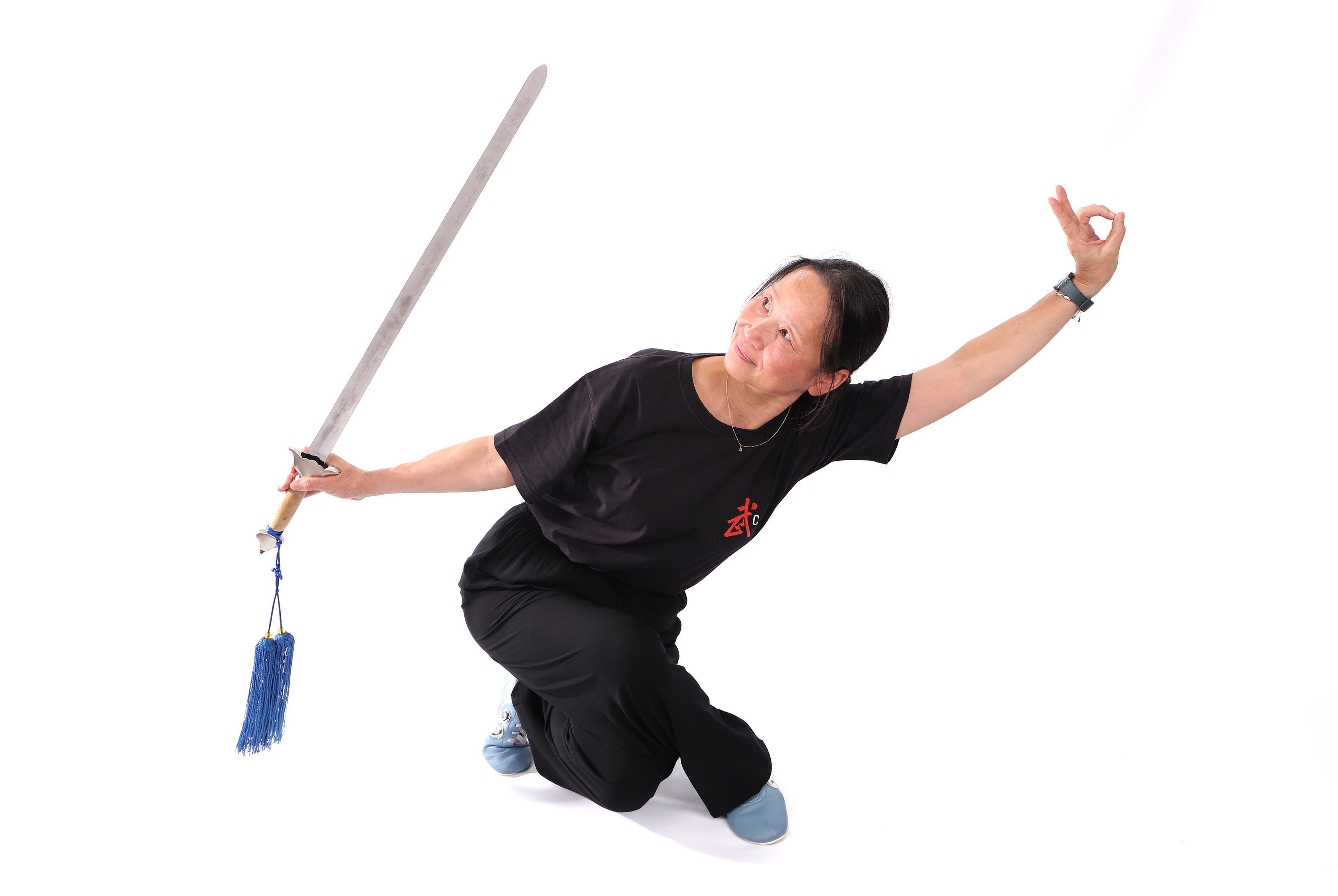 Image illustrant l'article « Xie Han »
