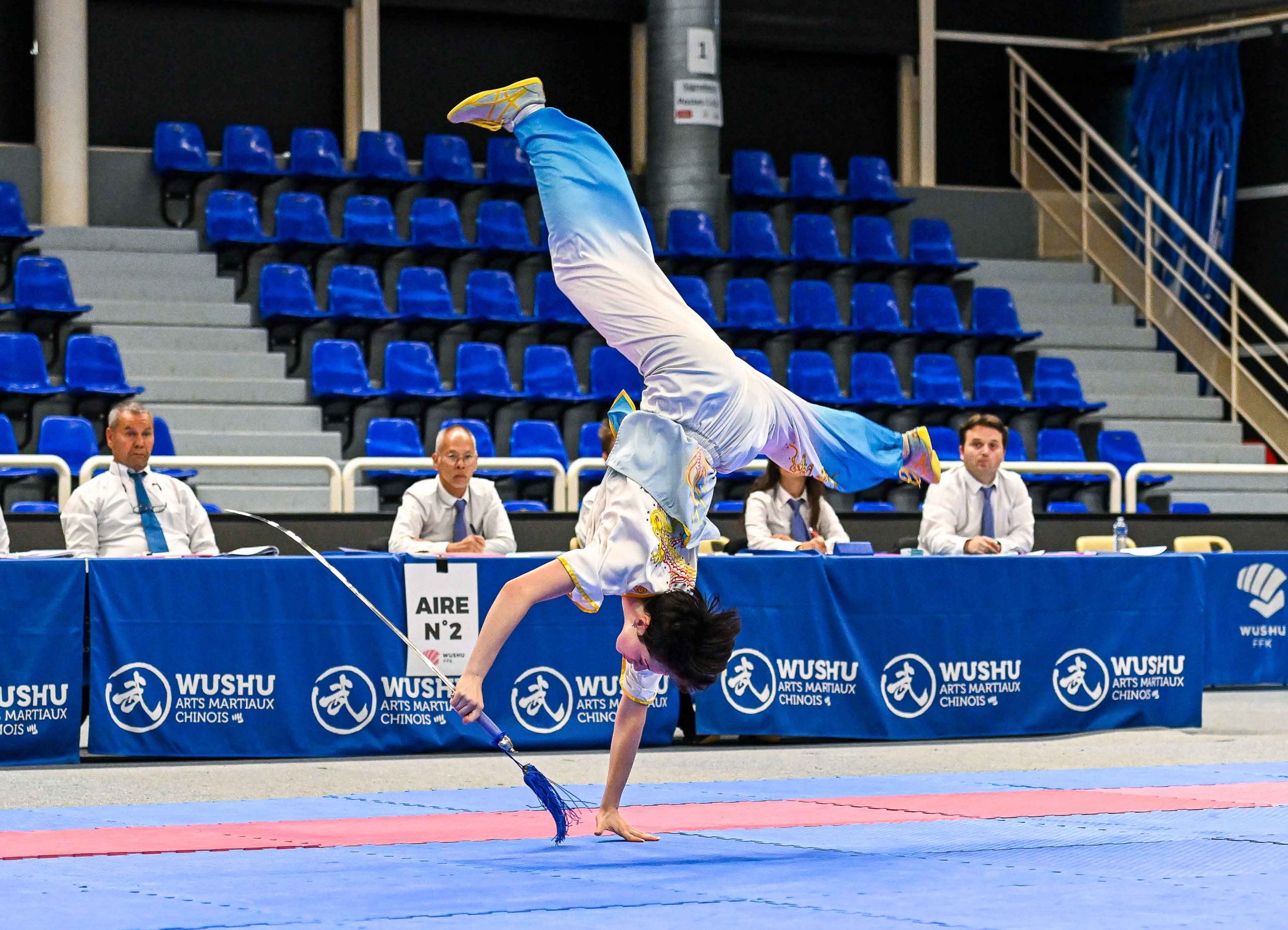 Image illustrant l'article « Kung fu wushu »